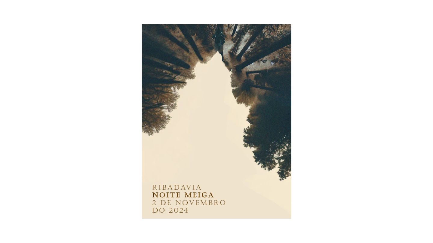 Foto Excursión á Noite Meiga de Ribadavia