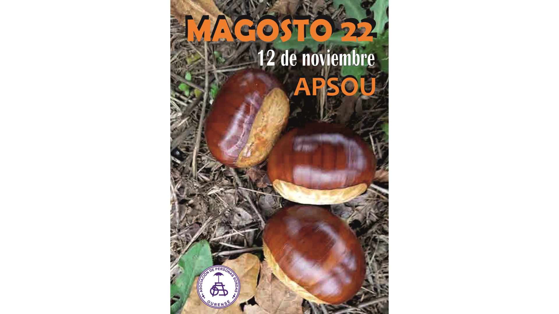 Foto Gran festa de Magosto